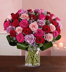 Dazzling Romance Premium Rose Bouquet Flower Power, Florist Davenport FL
